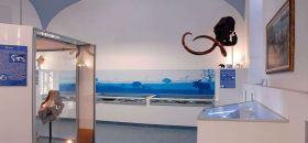 Museo Paleontologico del Po