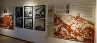 Museo della Sibilla