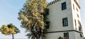 Torre Guevara