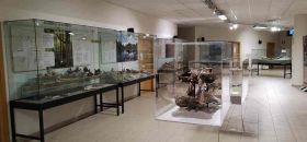 MuPA Museo Paleontologico Archeologico