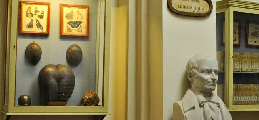 Collezione Spallanzani