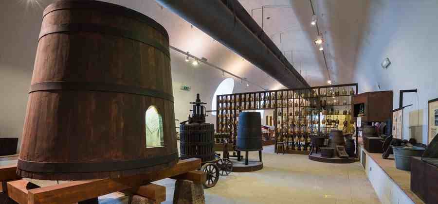 Museo della Vite e del Vino
