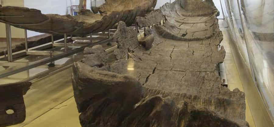 Museo Neolitico