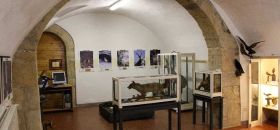 Museo Naturalistico Valnegra