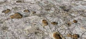 Cava dei Dinosauri