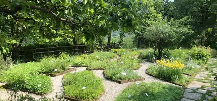 Orto Botanico Pier Carlo Bussi