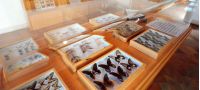 Museo Naturalistico del Monte Soratte