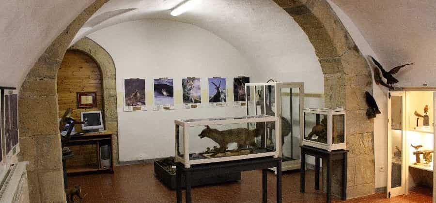 Museo Naturalistico Valnegra