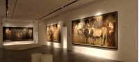 Galleria di Arte Moderna e Contemporanea "L. Viani"