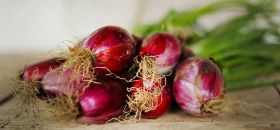 Museo della Cipolla Rossa di Tropea