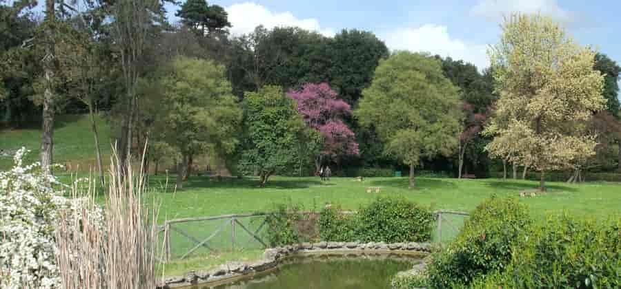 Parco di Villa il Ventaglio