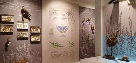 Museo Insubrico di Storia Naturale