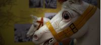 Museo Storico della Giostra e dello Spettacolo Popolare