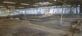 Parco Archeologico della Città Romana di Suasa