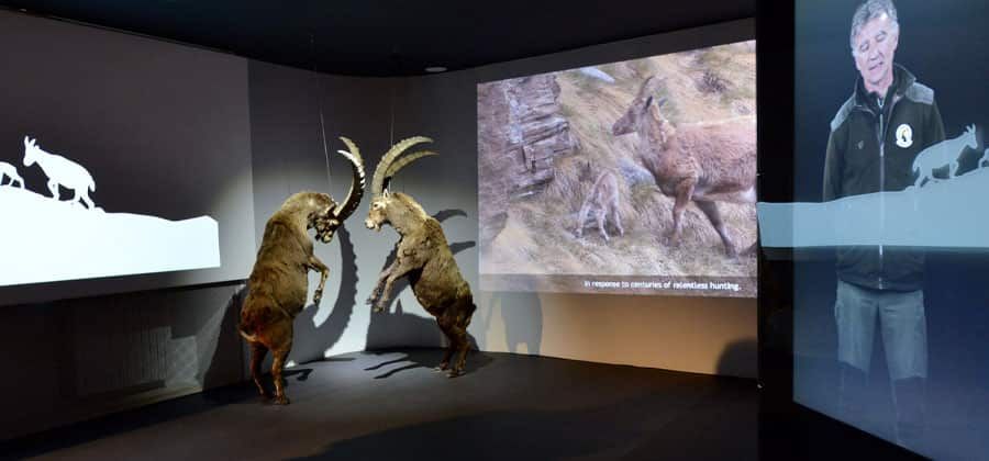 Centro visitatori Parco Nazionale Gran Paradiso