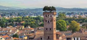 Torre Guinigi