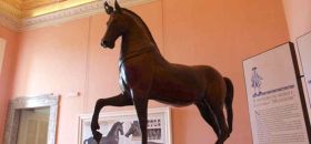 Herculanense Museum