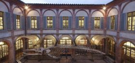 Musei dell'Accademia dei Fisiocritici