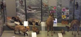 Museo Palazzo Corte Metto