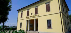 Museo di Ornitologia di Piacenza