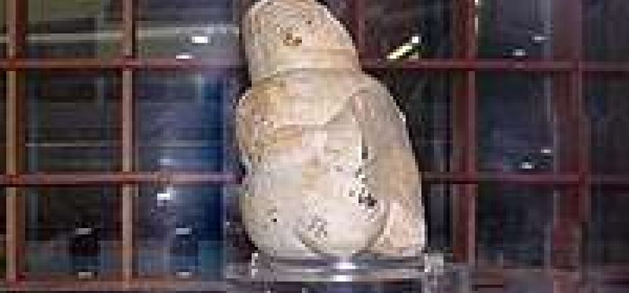 Museo Archeologico e Paleobotanico di Perfugas