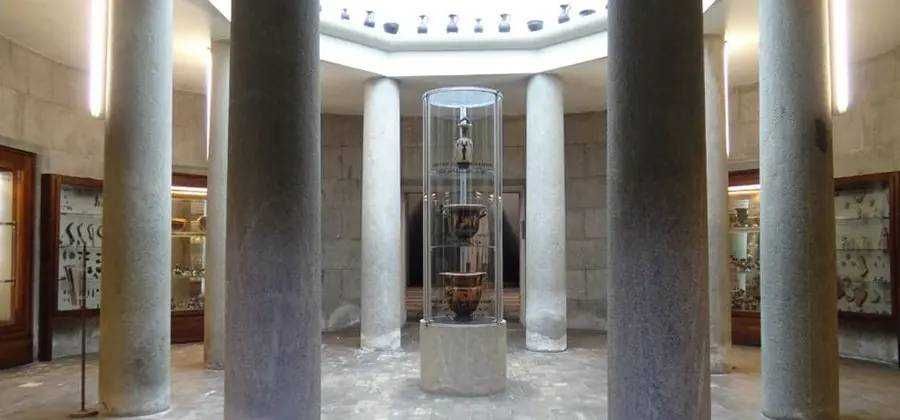 Museo Leone