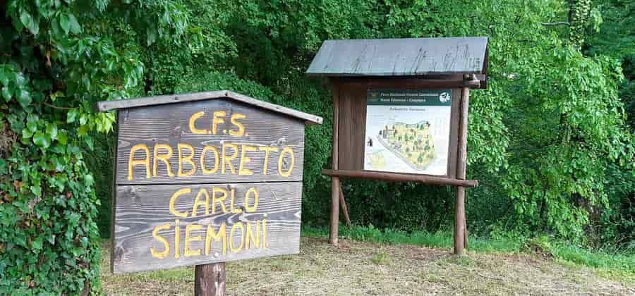 Arboreto Storico "Carlo Siemoni"