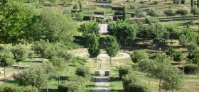 Bosco della Ragnaia