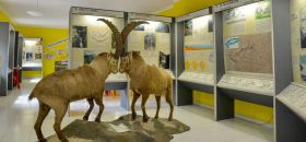 Noasca: Le forme del paesaggio