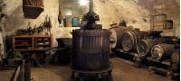 Museo Civico “El Balarol”