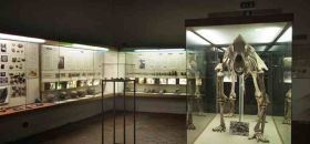 Museo Fiorentino di Preistoria "Paolo Graziosi"