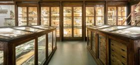 Museo di Zoologia “Pietro Doderlein”