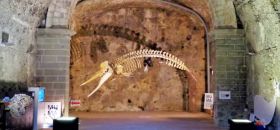 MuMa Museo del Mare