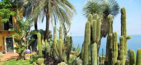 Giardino Esotico Pallanca