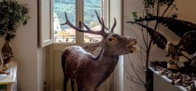 Museo di Scienze Naturali di Belvì