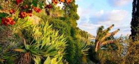Giardino di Villa Piacenza Boccanegra