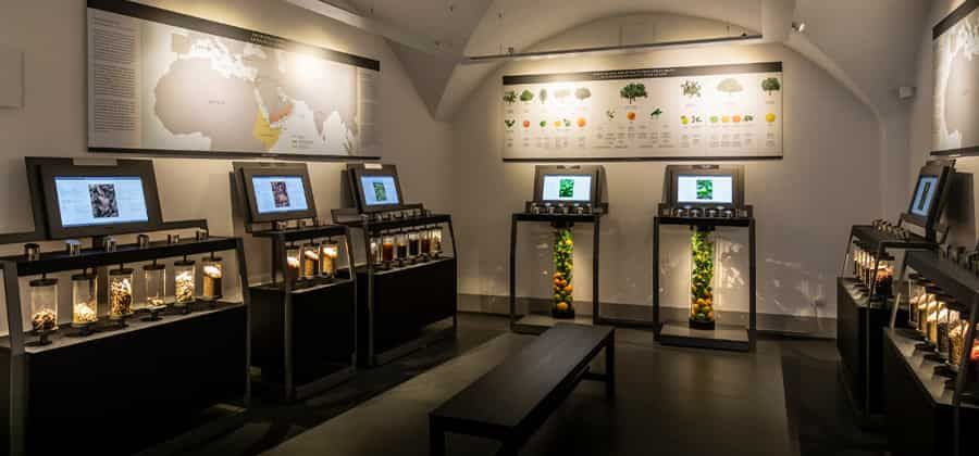 Museo Villoresi
