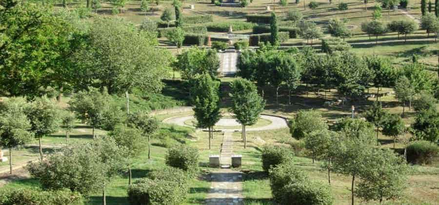 Bosco della Ragnaia