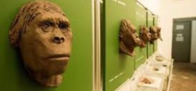 Mostra permanente Homo Sapiens e Habitat