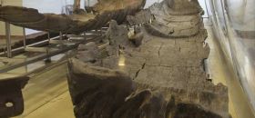Museo Neolitico