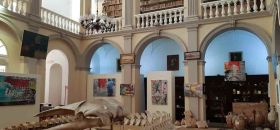 Museo Civico "Emanuele Barba"