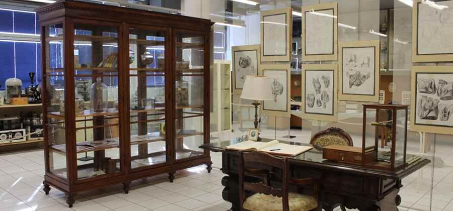 Museo Anatomico “Leonetto Comparini”