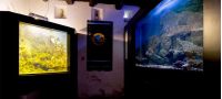 Museo Vivo del Mare