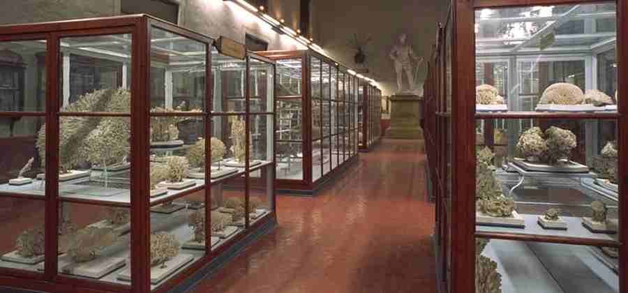 Museo di Storiografia Naturalistica