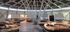 Museo Paleontologico di Pietrafitta