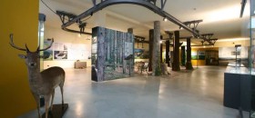 Museo di Storia Naturale di Piacenza