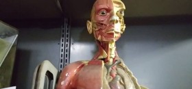 Museo Anatomico 