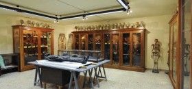 Museo di Anatomia Umana “Filippo Civinini”