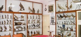 Museo Ornitologico di Apice