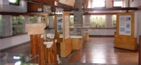 Museo Archeologico Nazionale di Cosa